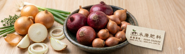 洋蔥栽培管理這樣做就對了 白話文版 洋蔥栽培管理這樣做就對了
白話文版