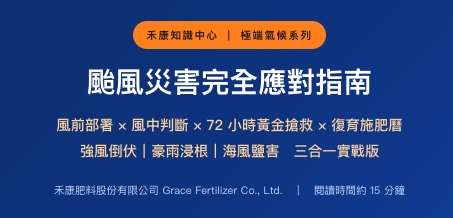 颱風災害完全應對指南 颱風災害完全應對指南