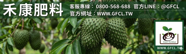 刺果番荔枝（紅毛榴槤）全年栽培曆完全指南 刺果番荔枝（紅毛榴槤）全年栽培曆完全指南