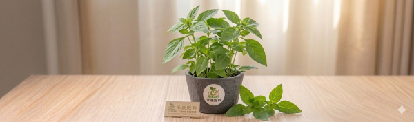 羅勒（九層塔）栽培管理這樣做就對了 白話文版 羅勒（九層塔）栽培管理這樣做就對了
白話文版