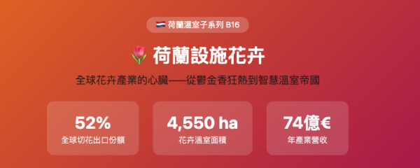 荷蘭設施花卉 荷蘭設施花卉