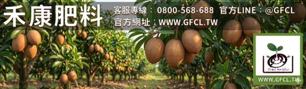 人心果全年栽培曆完全指南 人心果全年栽培曆完全指南