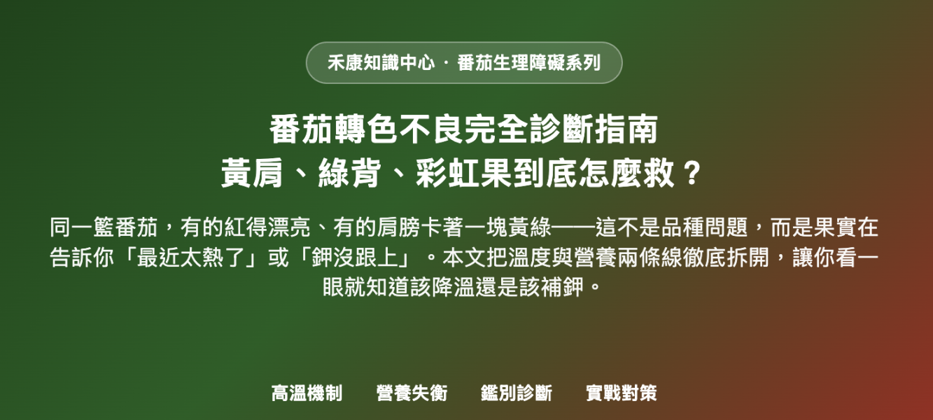 番茄轉色不良完全診斷指南 番茄轉色不良完全診斷指南