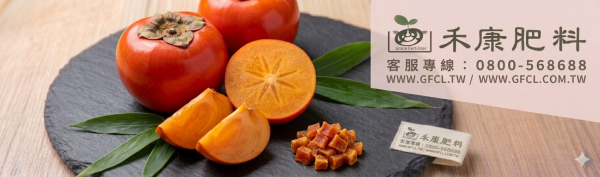 柿（甜柿）栽培管理這樣做就對了 白話文版 柿（甜柿）栽培管理這樣做就對了 白話文版