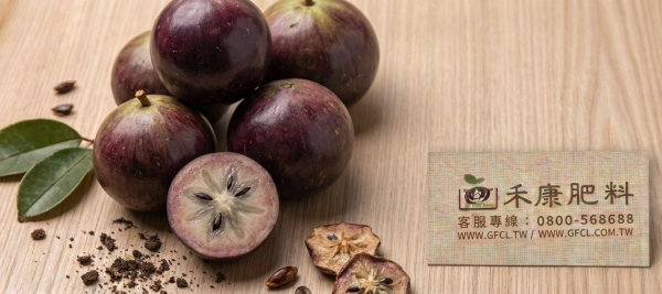 牛奶果（星蘋果） 全年栽培曆完全指南 牛奶果（星蘋果）
全年栽培曆完全指南