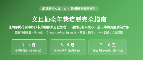 文旦柚全年栽培曆完全指南 文旦柚全年栽培曆完全指南