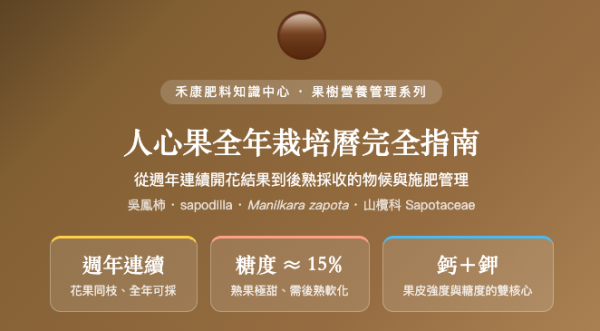 人心果全年栽培曆完全指南 人心果全年栽培曆完全指南