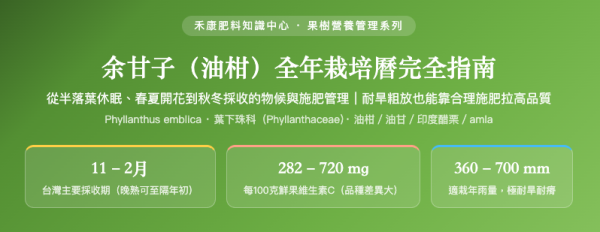 余甘子（油柑）全年栽培曆完全指南 余甘子（油柑）全年栽培曆完全指南