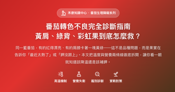 番茄轉色不良完全診斷指南 番茄轉色不良完全診斷指南