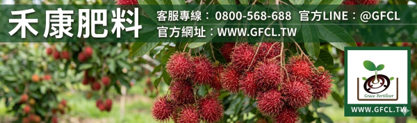 紅毛丹全年栽培曆完全指南 紅毛丹全年栽培曆完全指南