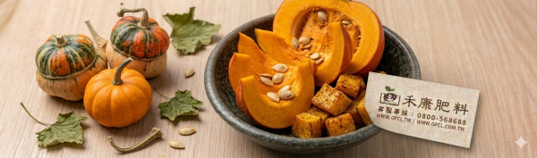 南瓜施肥這樣做就對了 白話文版 南瓜施肥這樣做就對了 白話文版