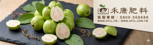 芭樂栽培白話文版 芭樂栽培白話文版