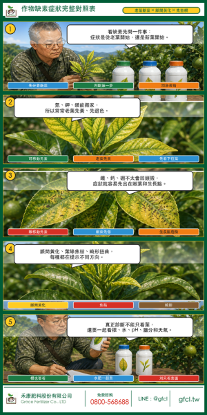作物缺素症狀完整對照表 作物缺素症狀完整對照表