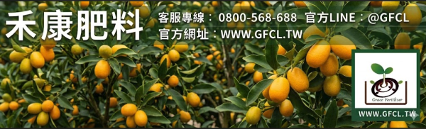 金棗（金柑）全年栽培曆完全指南 金棗（金柑）全年栽培曆完全指南