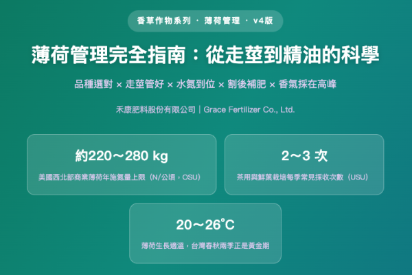 薄荷管理完全指南 薄荷管理完全指南