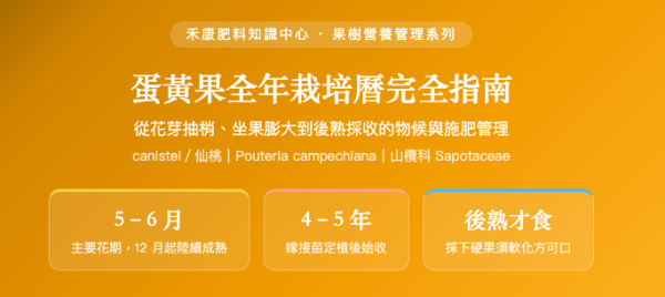 蛋黃果（仙桃）全年栽培曆完全指南 蛋黃果（仙桃）全年栽培曆完全指南