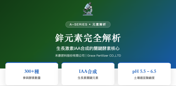 鋅元素完全解析 鋅元素完全解析