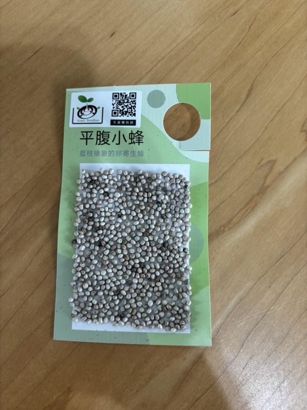 平腹小蜂/卵片-2026/出貨到5月結束 益蟲,平腹小蜂,天敵,防治