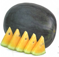 西瓜施肥這樣做就對了 白話文版 