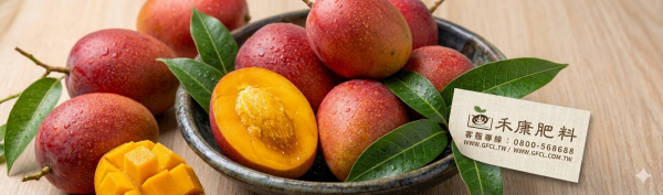 芒果施肥 白話文版 芒果施肥 白話文版
