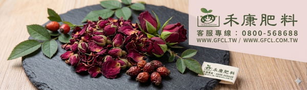 玫瑰栽培管理這樣做就對了 白話文版 玫瑰栽培管理這樣做就對了 白話文版