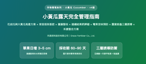 小黃瓜露天完全管理指南 小黃瓜露天完全管理指南