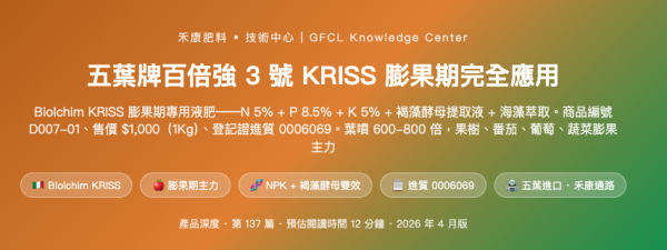 五葉牌百倍強 3 號 KRISS 膨果期完全應用 五葉牌百倍強 3 號 KRISS 膨果期完全應用