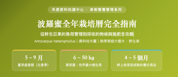 波羅蜜全年栽培曆完全指南 波羅蜜全年栽培曆完全指南