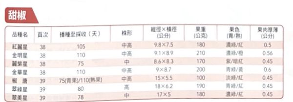 翠美星甜椒 翠美星甜椒