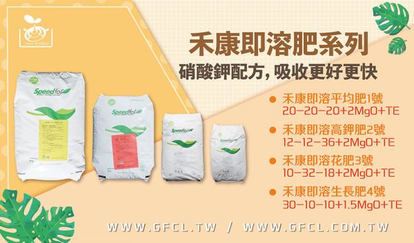 目前缺貨公告 