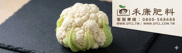 花椰菜栽培白話文版 花椰菜栽培白話文版