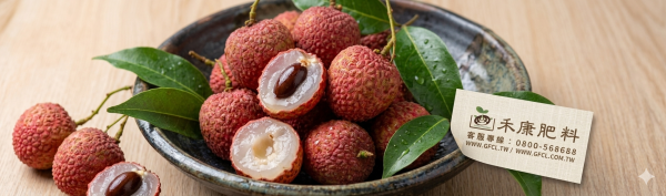 荔枝栽培管理 白話文版 荔枝栽培管理 白話文版