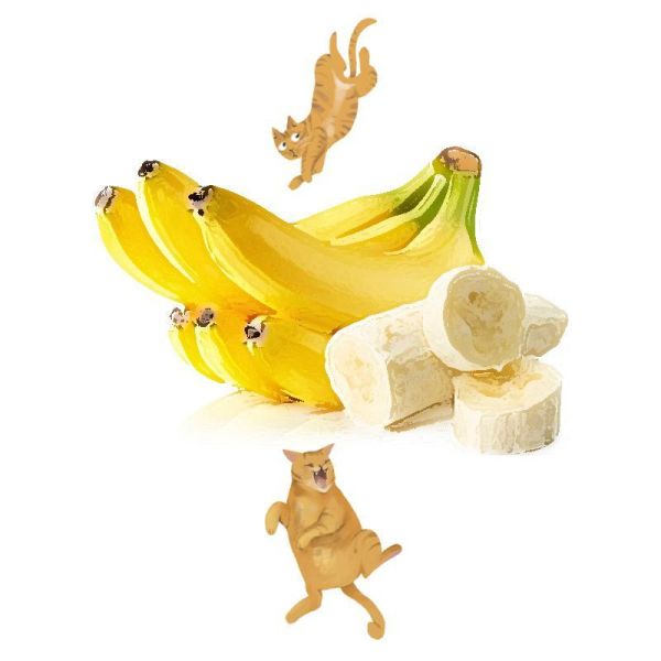 香蕉栽培管理這樣做就對了 白話文版 香蕉栽培管理這樣做就對了 白話文版