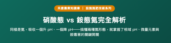 硝酸態 vs 銨態氮完全解析 硝酸態 vs 銨態氮完全解析