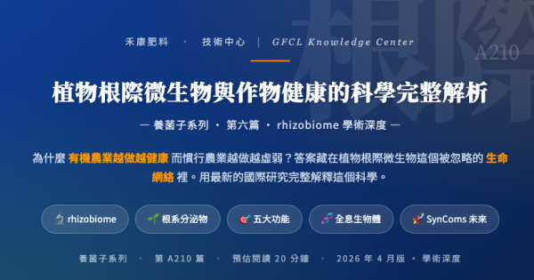 植物根際微生物與作物健康的科學完整解析 植物根際微生物與作物健康的科學完整解析