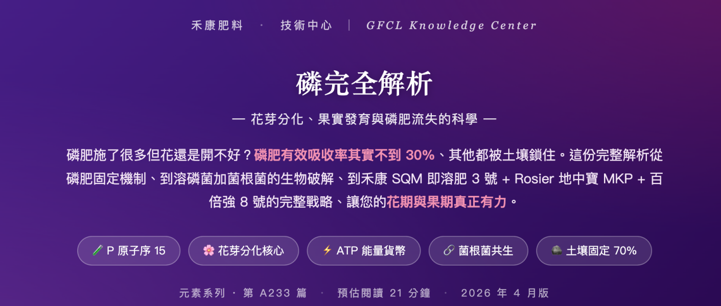 磷完全解析 磷完全解析