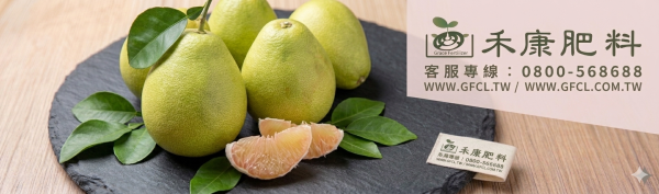 文旦栽培管理這樣做就對了 白話文版 文旦栽培管理這樣做就對了 白話文版