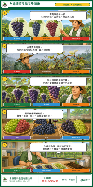 全球葡萄品種完全圖譜 全球葡萄品種完全圖譜