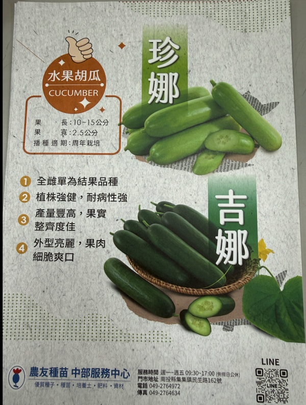 水果胡瓜-珍娜 水果胡瓜-珍娜