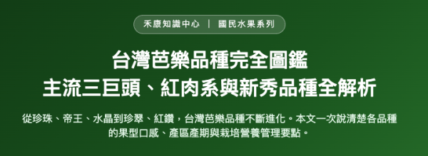 台灣芭樂品種完全圖鑑 台灣芭樂品種完全圖鑑