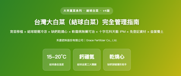 台灣大白菜（結球白菜）完全管理指南 台灣大白菜（結球白菜）完全管理指南