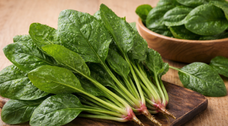 菠菜栽培管理這樣做就對了 白話文版 菠菜栽培管理這樣做就對了 白話文版