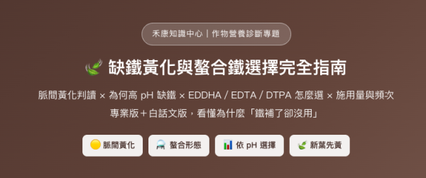 缺鐵黃化與螯合鐵選擇完全指南 缺鐵黃化與螯合鐵選擇完全指南