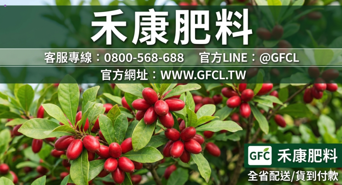 神秘果全年栽培曆完全指南 神秘果全年栽培曆完全指南