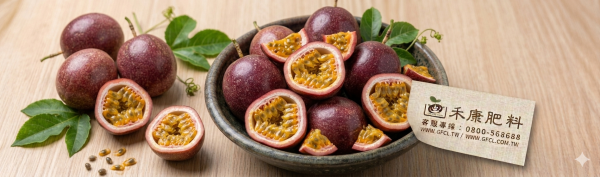 百香果施肥這樣做就對了 白話文版 百香果施肥這樣做就對了 白話文版