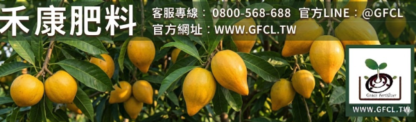 蛋黃果（仙桃）全年栽培曆完全指南 蛋黃果（仙桃）全年栽培曆完全指南