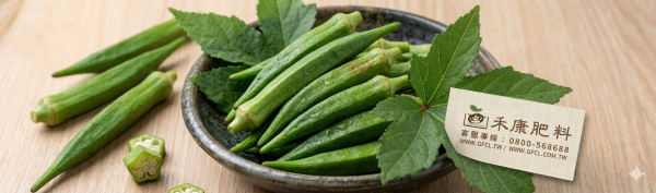 秋葵施肥 白話文版 秋葵施肥這樣做就對了
白話文版