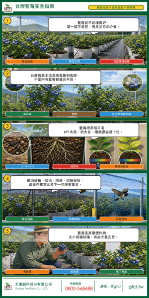 台灣藍莓完全指南 台灣藍莓完全指南