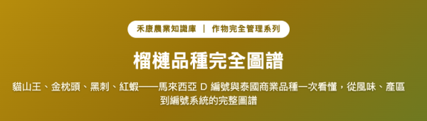榴槤品種完全圖譜 榴槤品種完全圖譜