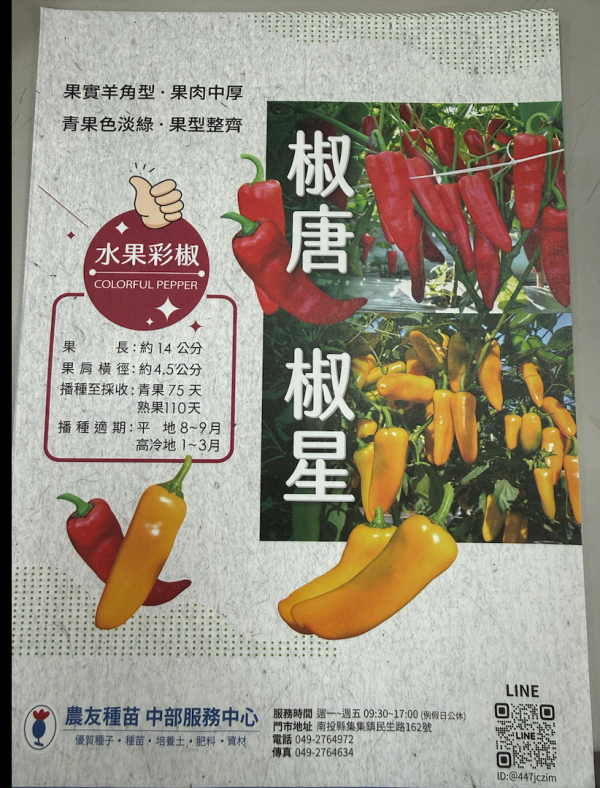 甜椒椒星 甜椒椒星